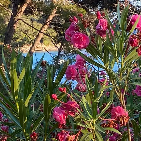 Διαμέρισμα Artatore24 - Modern And Stylish *