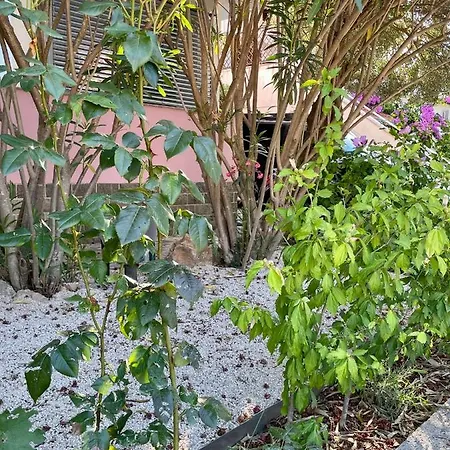 Artatore24 - Modern And Stylish *